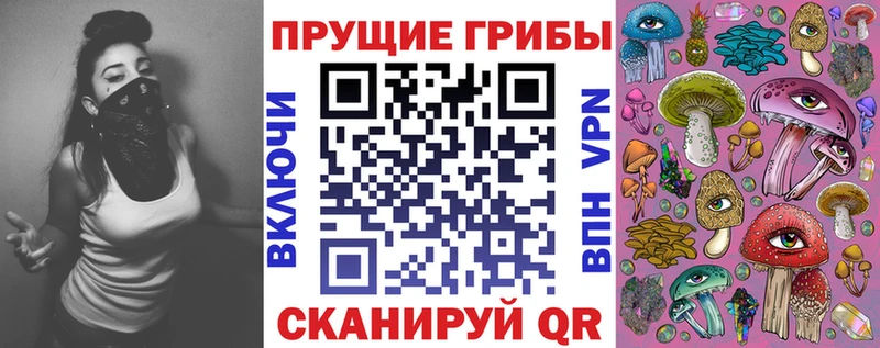 Галлюциногенные грибы Psilocybe  площадка состав  Апшеронск 