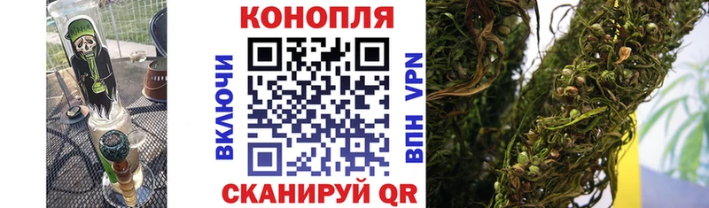 мориарти клад  Апшеронск  Канабис тримм 